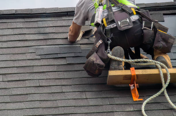 Best Roof Maintenance Services  in Fort Lee, VA