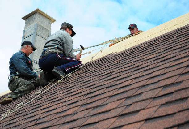 Best Roof Restoration Services  in Fort Lee, VA