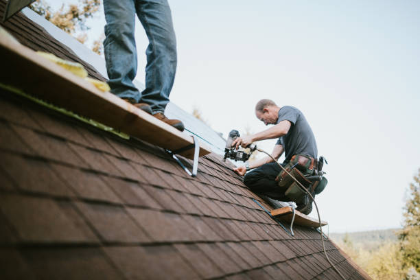 Best Roof Gutter Cleaning  in Fort Lee, VA